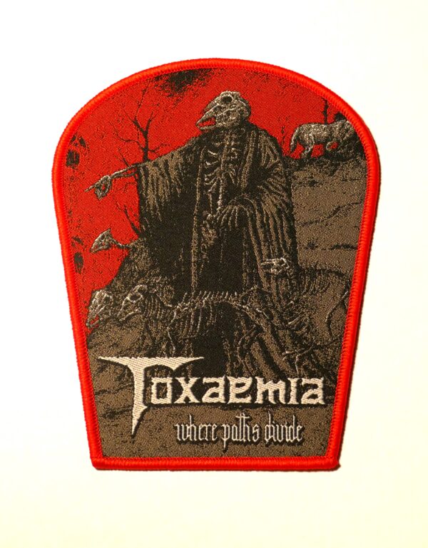 Toxaemia - Where Paths Divide